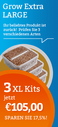 Offer XL Magic Mushroom Growkit Pack
