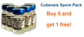 Spores Cubensis Discount