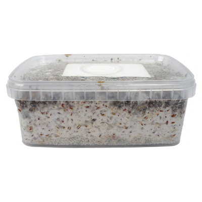 Myceliumboxes