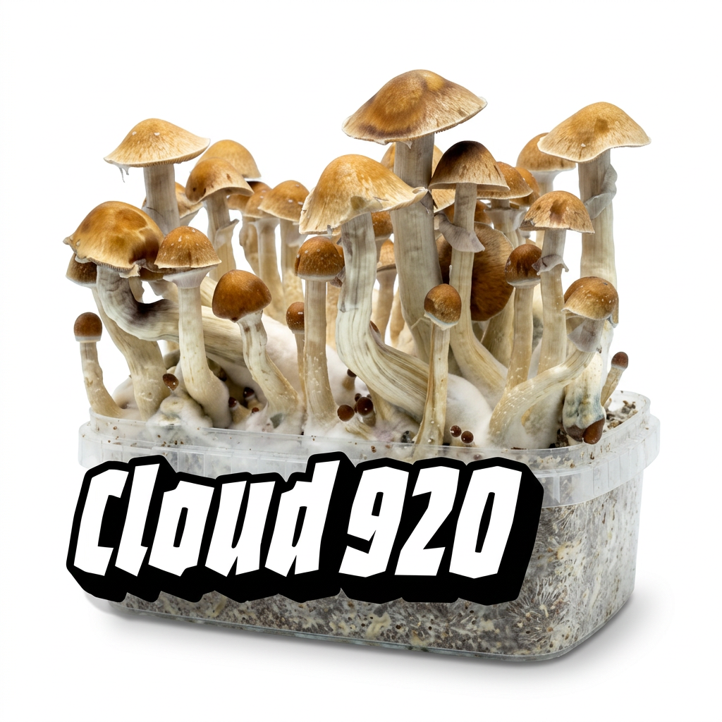 Cloud920® Premium Grow Kits