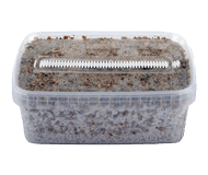 GetMagic magic mushroom grow kits