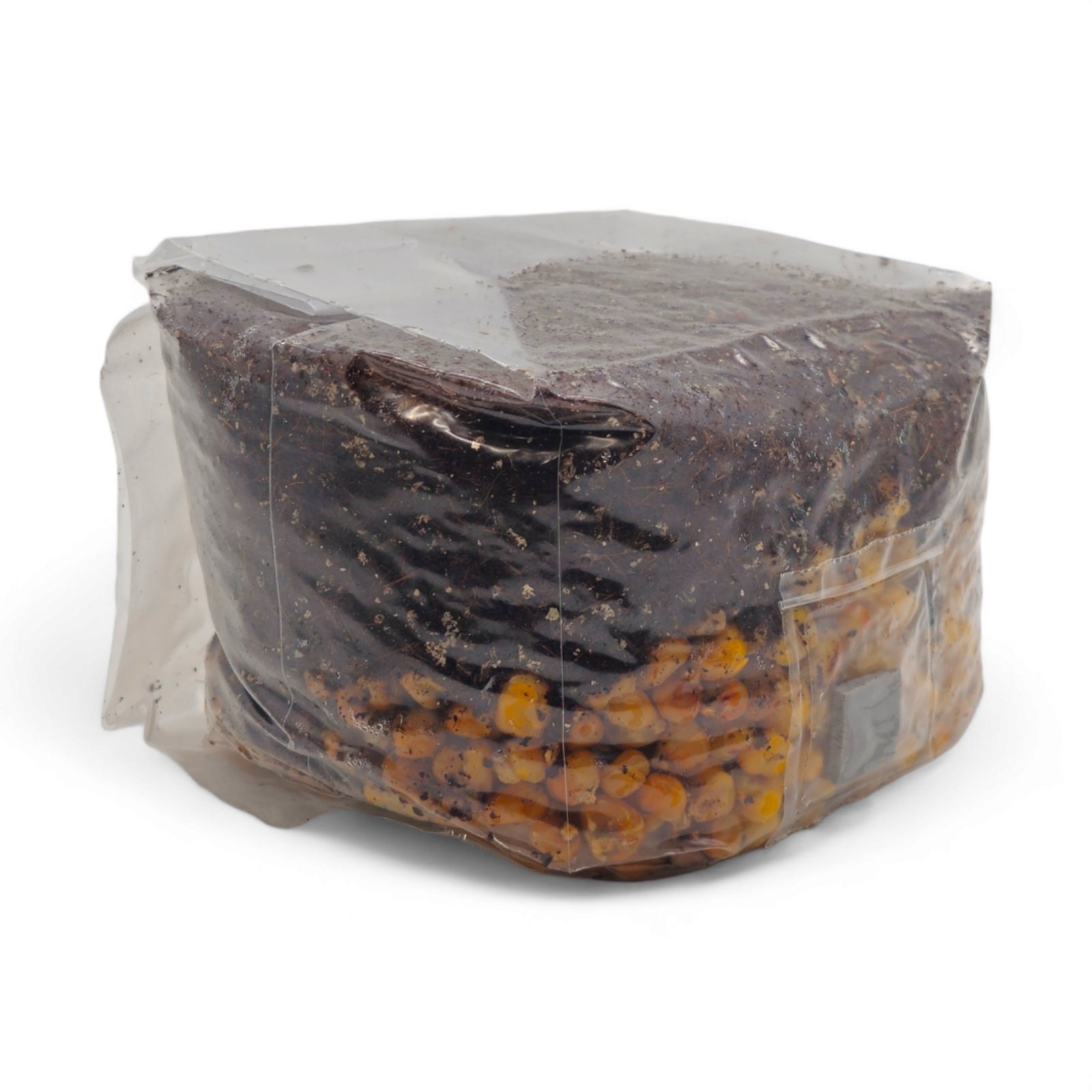 All-in-one mushroom grow bag