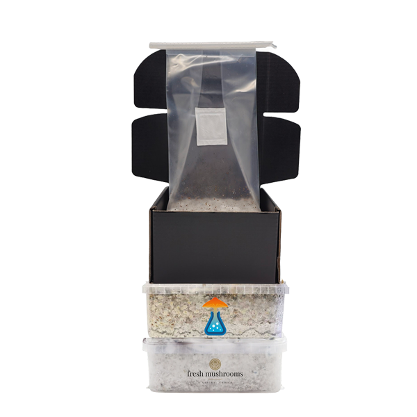 Magic mushroom grow kit combi pack