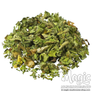 Marshmallow | Althaea officinalis | 25 gram Marshmallow | Althaea officinalis | 25 gram