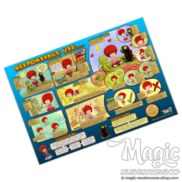 take mushrooms responsible, Don't break local laws!