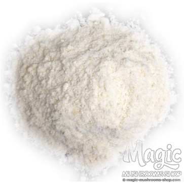 Farinha de Arroz Integral