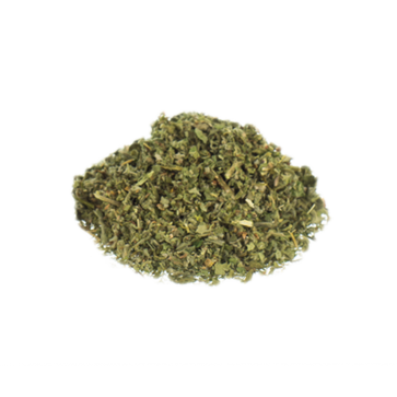 Catmint  Nepeta cataria