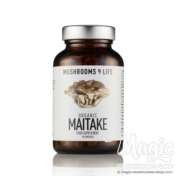 Mushrooms4life  Maitake Grifola frondosa Mushroom Capsules 