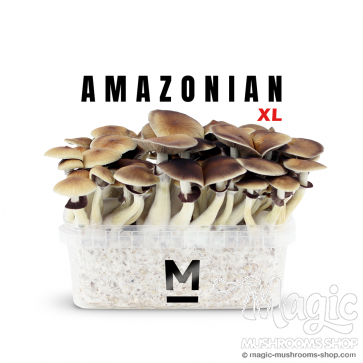 2100cc Amazonian PES Grow kit