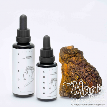 Chaga mushroom extract