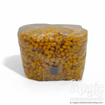 Sterile corn 2000cc and 4000cc