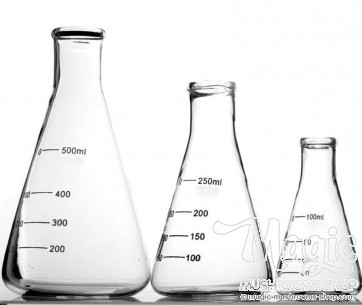 Erlenmeyer Flasks with rubber bung