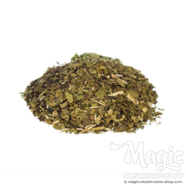  Yerba Mate | Ilex paraguariensis Shredded