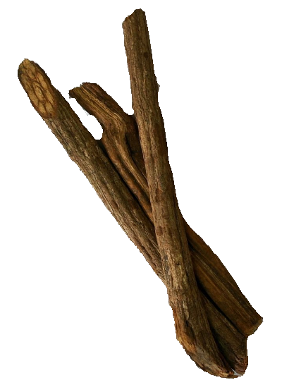Banisteriopsis Caapi Trueno, shredded Banisteriopsis Caapi Trueno, shredded
