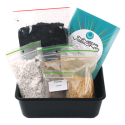 Cacto Peyote Kit de Cultivo