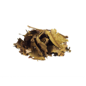 Chaliponga Diplopterys cabrerana 