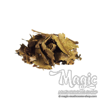 Chaliponga Diplopterys cabrerana 