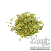 Ginkgo Biloba