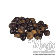 Guarana Paullinia cupana | Powder and Nuts