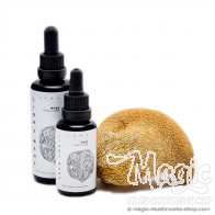 Lion's Mane mushroom tincture - KÄÄPÄ Health