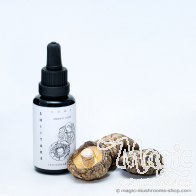 Shiitake mushroom tincture - Lentinula edodes extract | KÄÄPÄ Health 
