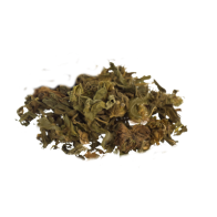Klip Dagga | Leonotis nepetifolia | 50 gramas