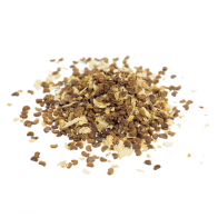 Kanna | Sceletium tortuosum | 10 seeds