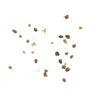 Sementes de tabaco | Nicotiana tabacum | 20 sementes