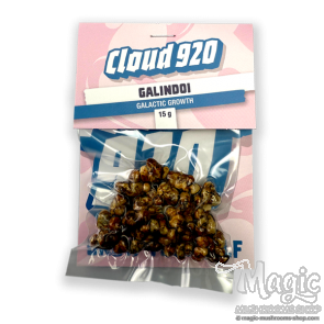 Psilocybe Galindoi Magic Truffles