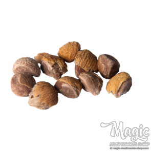 hawaiian baby woodrose seeds