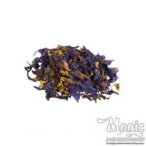 Blue Lotus (Nymphaea caerulea)