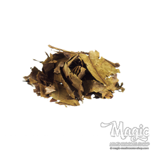  Chaliponga | Diplopterys cabrerana 