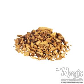 Galangal | Alpinia officinarum raw