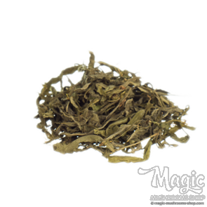 Sinicuichi | Heimia salicifolia