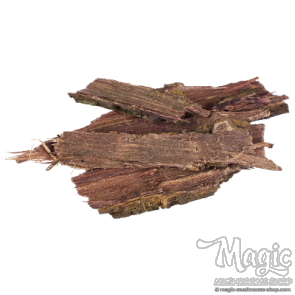 Mimosa hostilis Jurema Preta  Rootbark DMT