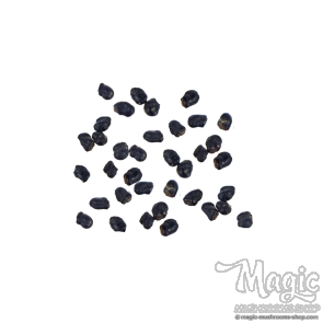 Cacto Peyote | 10 Sementes