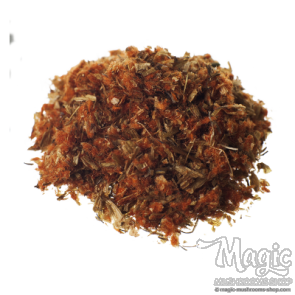 Wild Dagga | Leonotis Leonorus | Flower