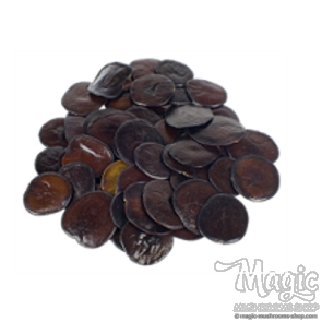 Yopo seeds | Anadenanthera peregrina 