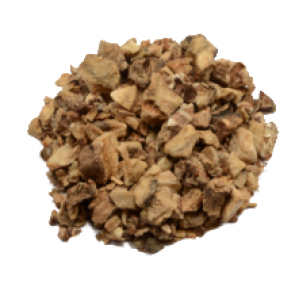 Devil's Claw Harpagophytum Procumbens