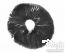 Spore print 