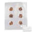  Microdosing Magic Truffles | Vacume sealed 
