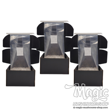 3x Cloud920® grow kit