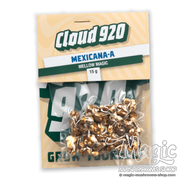 Magic Truffles Mexicana