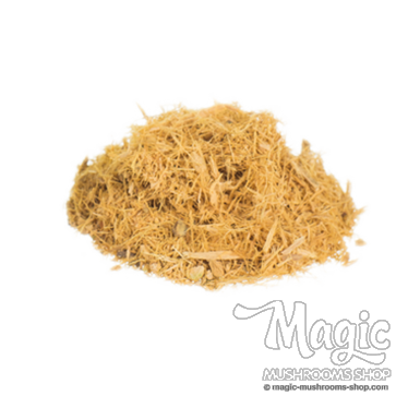 Mulungu | Erythrina mulungu