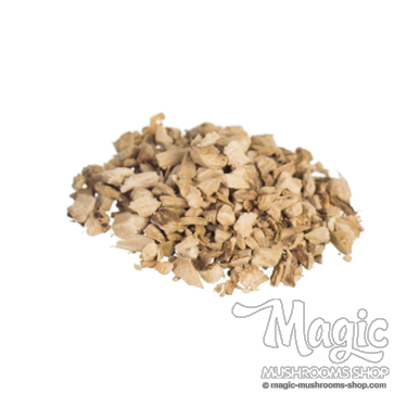 Kalmoes | Acorus calamus 