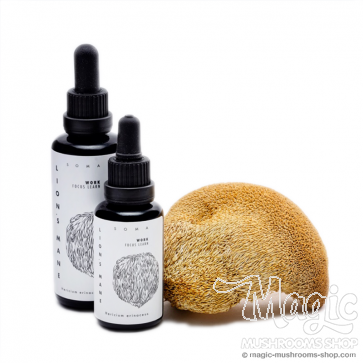 Lion's Mane paddenstoel extract - KÄÄPÄ Health 