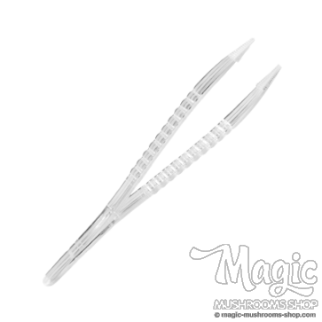 Disposable Tweezers Disposable Tweezers