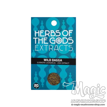Wild Dagga | Leonotis Leonorus Extract 20x