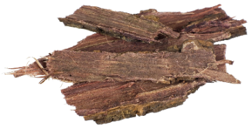 Mimosa hostilis  Rootbark 