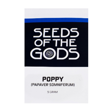 Poppy | Papaver Somniferum